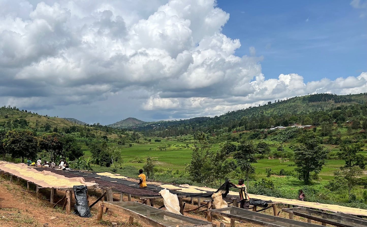 BURUNDI KAYANZA CITRADORA 250G