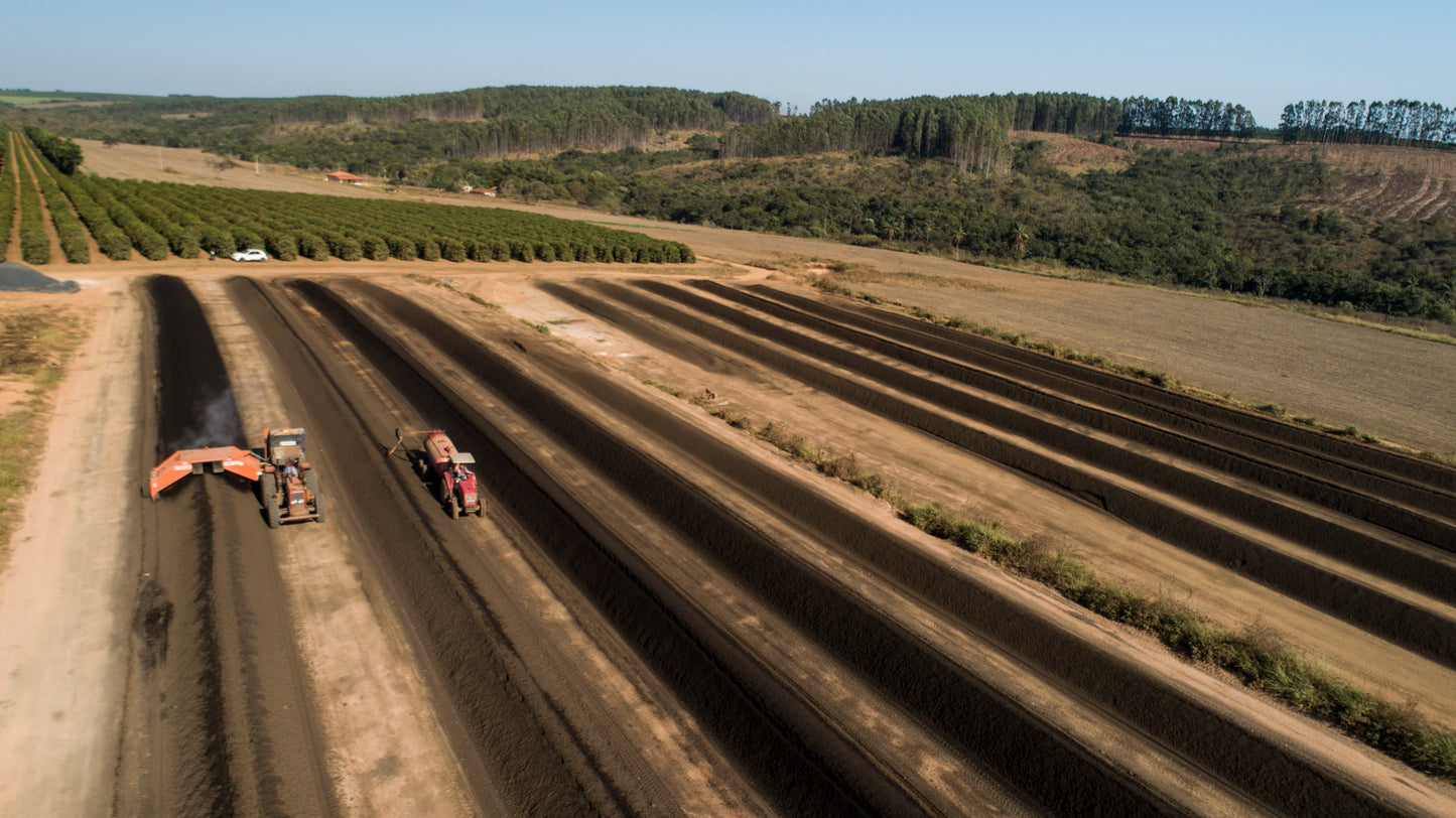 BRAZILIA CIELO DEL CERRADO 250G