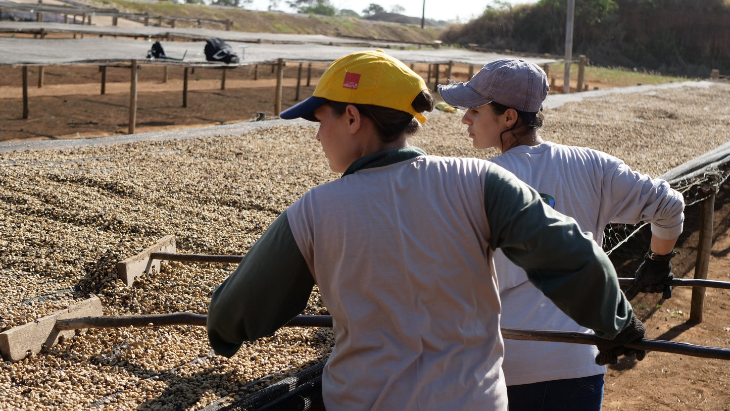 BRAZILIA CIELO DEL CERRADO 250G