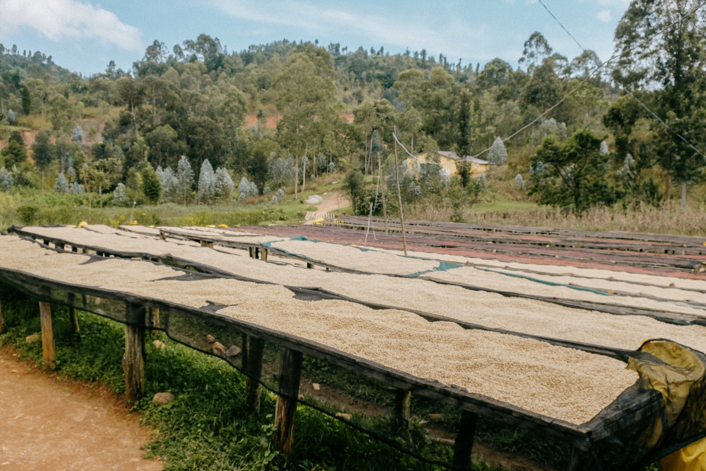 RWANDA KARAMBI MOUNTAIN 250G