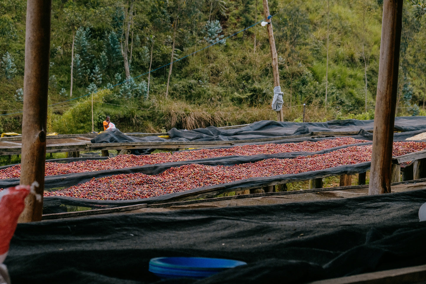 RWANDA KARAMBI MOUNTAIN 250G