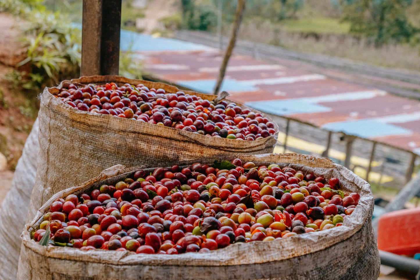 RWANDA KARAMBI MOUNTAIN 250G