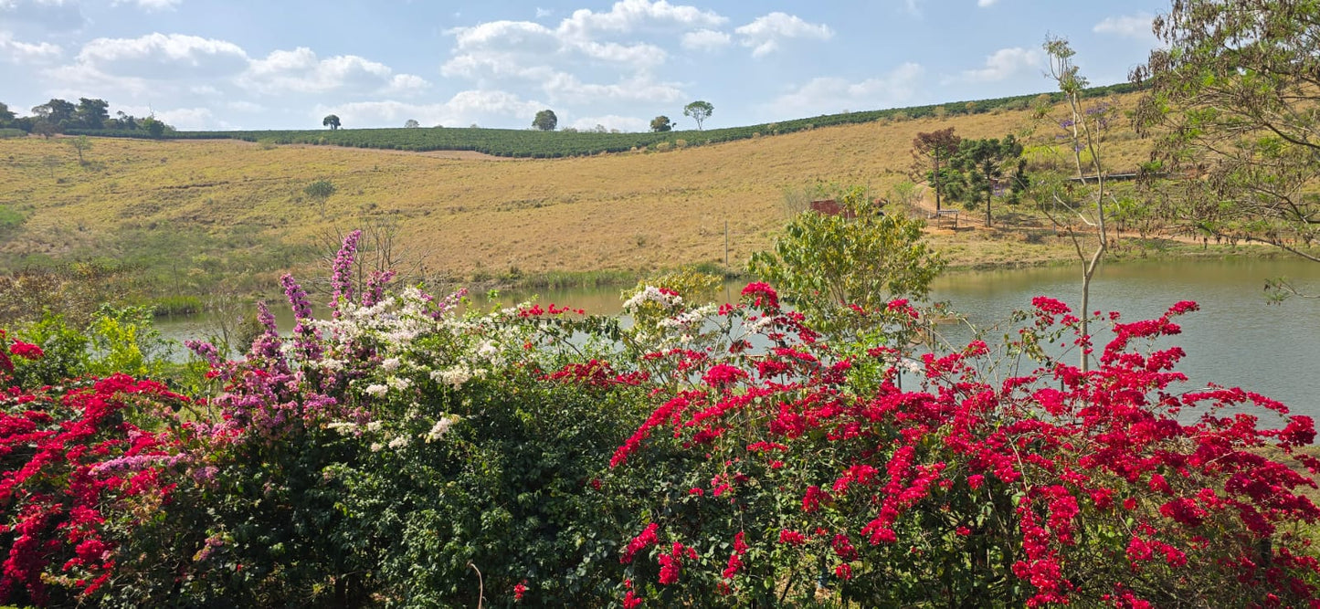 BRAZIL FAZENDA GUARIROBA TOPAZIO 1KG