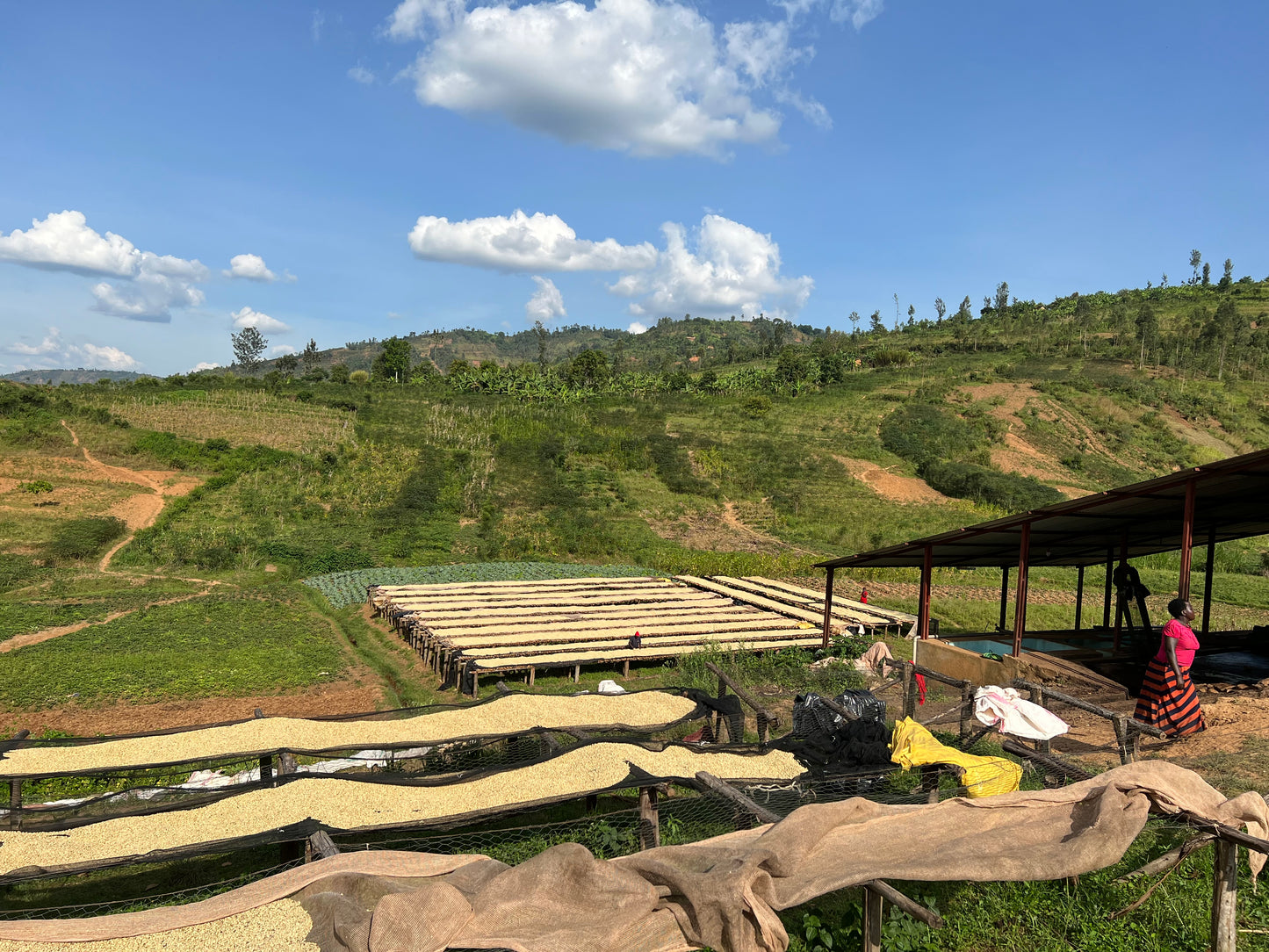 BURUNDI KAYANZA CITRADORA 250G