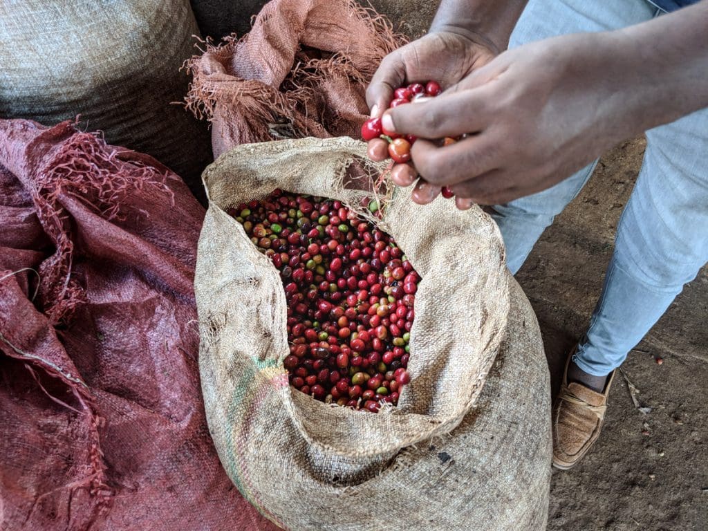 ETIOPIA KOKE KEBELE INDIGO 1KG