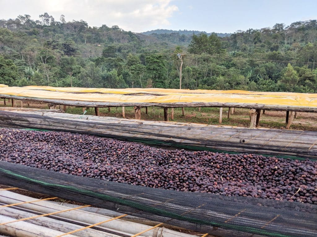 ETIOPIA KOKE KEBELE INDIGO 1KG