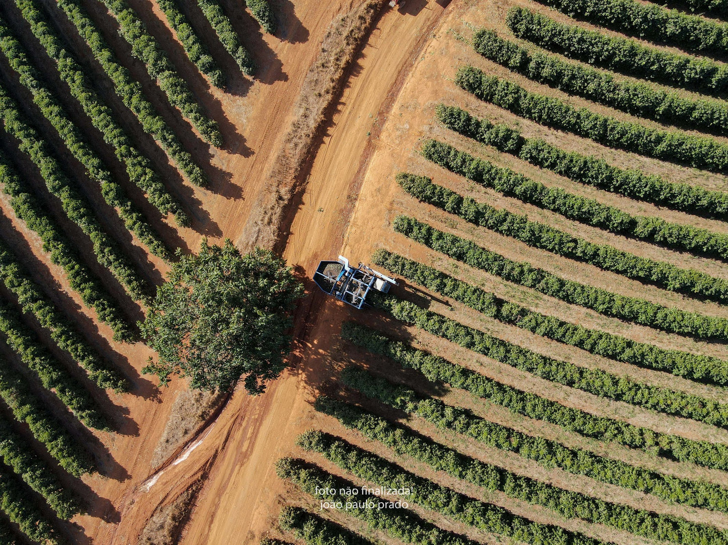 BRAZILIA FAZENDA SAO DOMINGO 250G