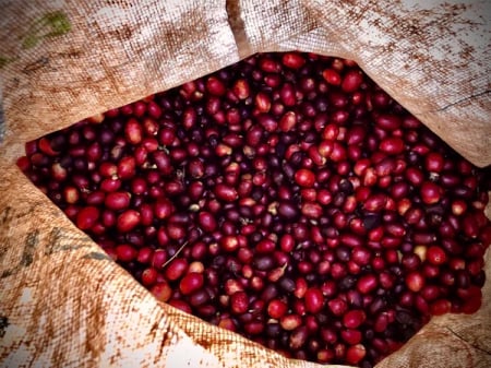 COLUMBIA GUAVA BANANA 1KG