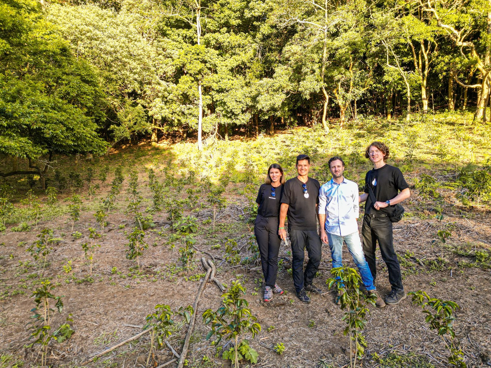 COSTA RICA GEISHA RED HONEY ALEJO CASTRO 200G