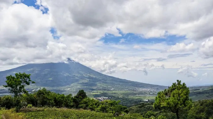 GUATEMALA CALMA ANTIGUA 250G