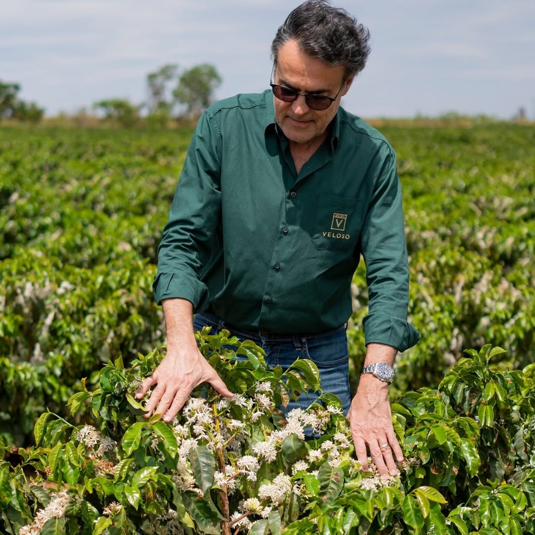 BRAZILIA PLACER ROJO 250G