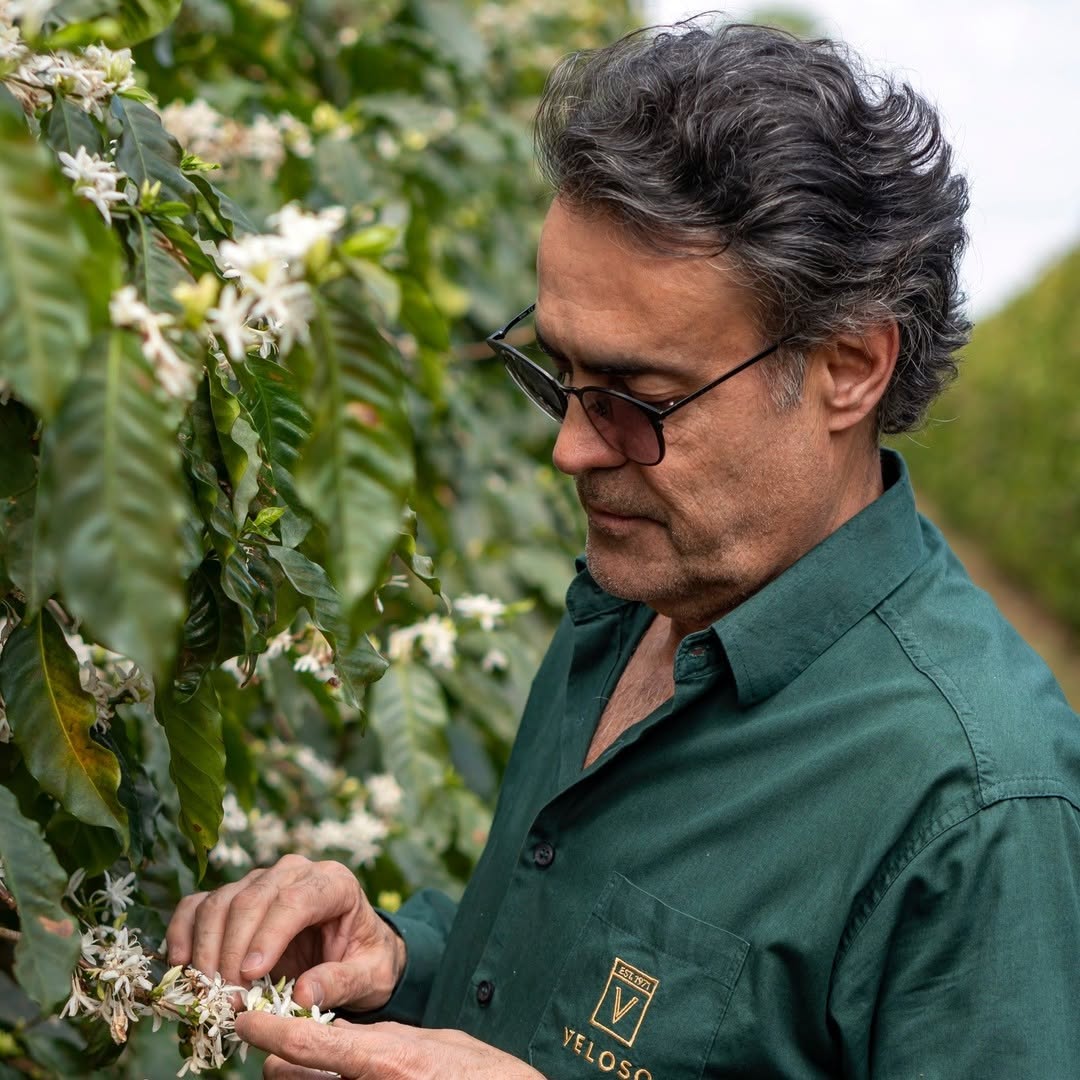 BRAZILIA PLACER ROJO 250G