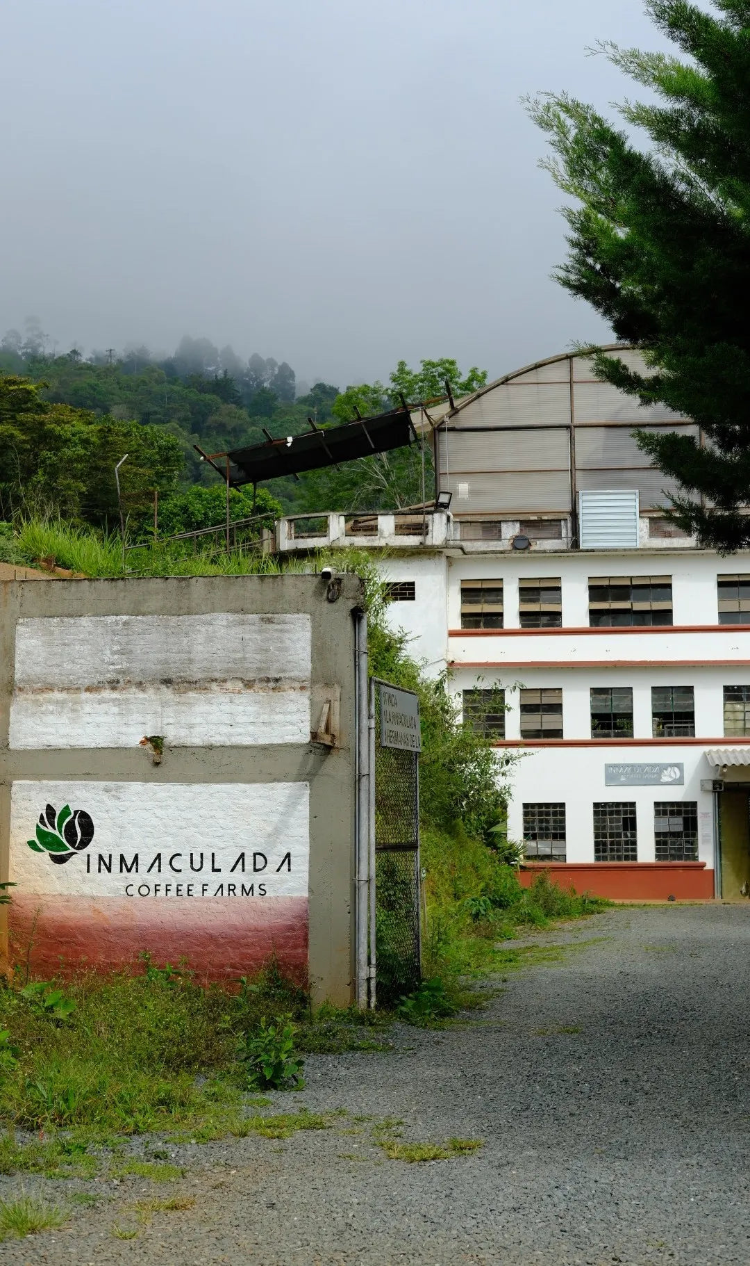 COLUMBIA GEISHA INMACULADA 1KG