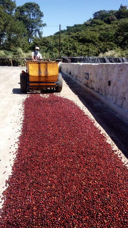 EL SALVADOR FINCA SAN FRANCISCO 250G