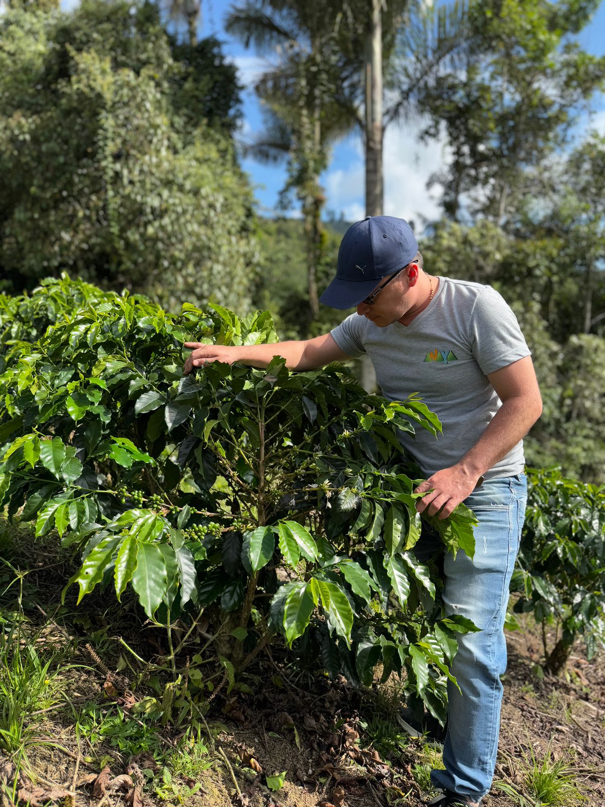 COLUMBIA CHERRY DROPS 1KG