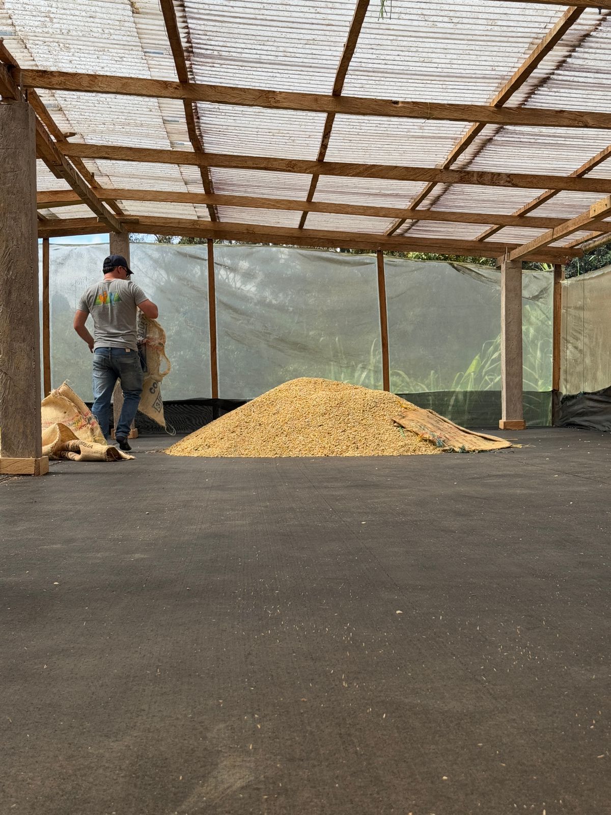 COLOMBIA YELLOW CLOUDS 1KG