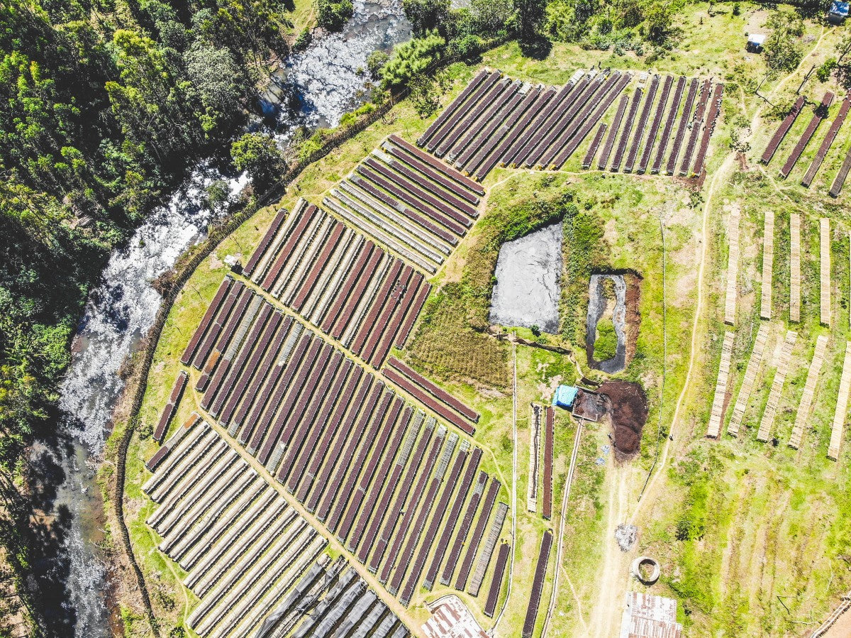 ETIOPIA KERAMO DAYE BENSA 250G