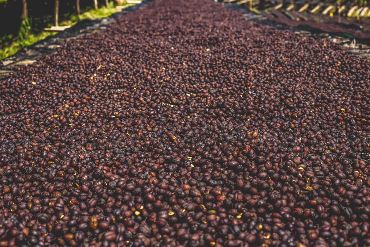 ETIOPIA KERAMO DAYE BENSA 250G