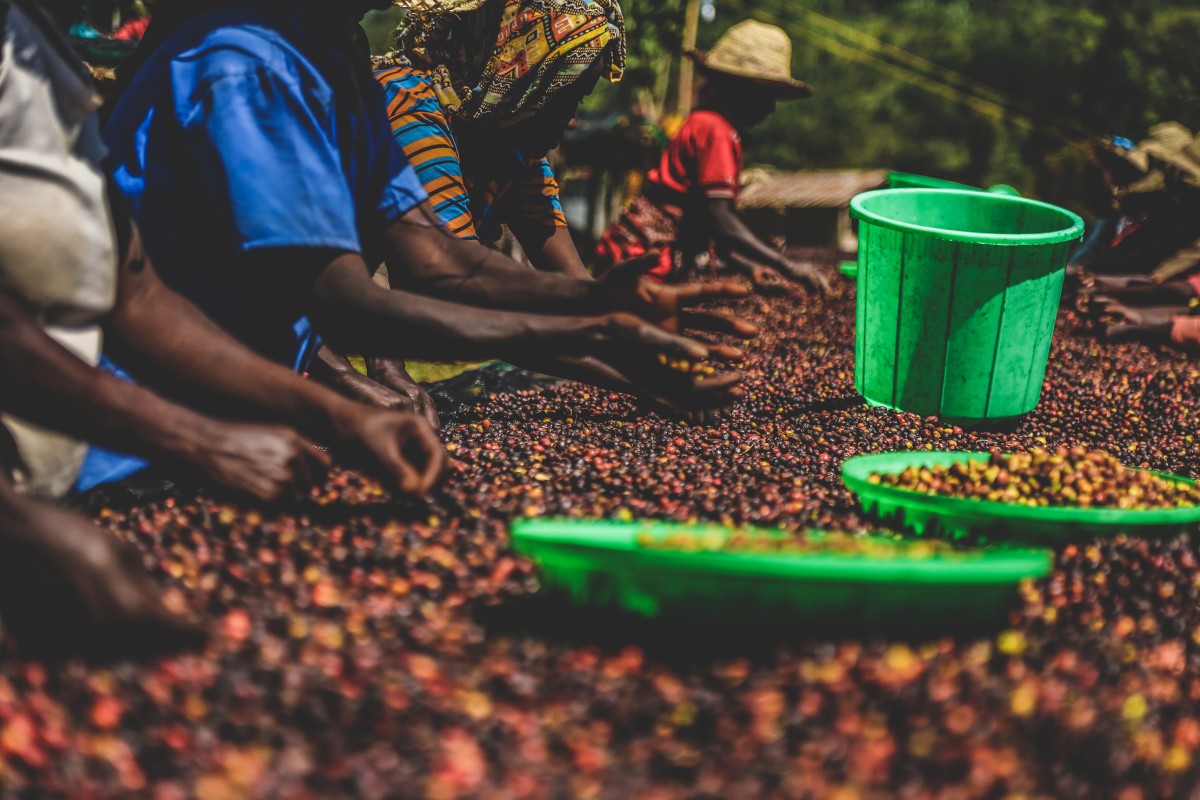 ETHIOPIA KERAMO DAYE BENSA 250g