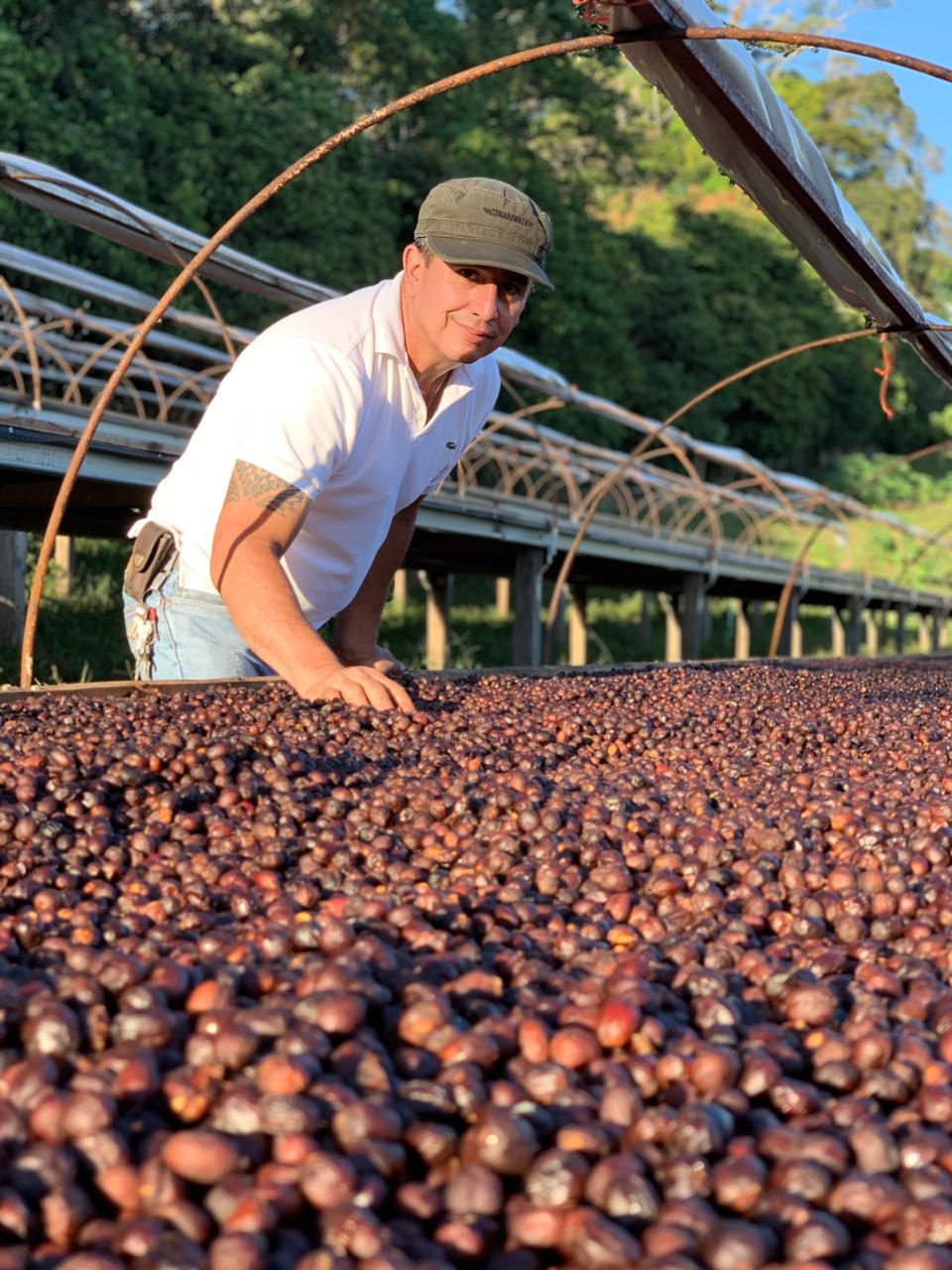 PANAMA HACHI GEISHA ROCKY MOUNTAIN 125G