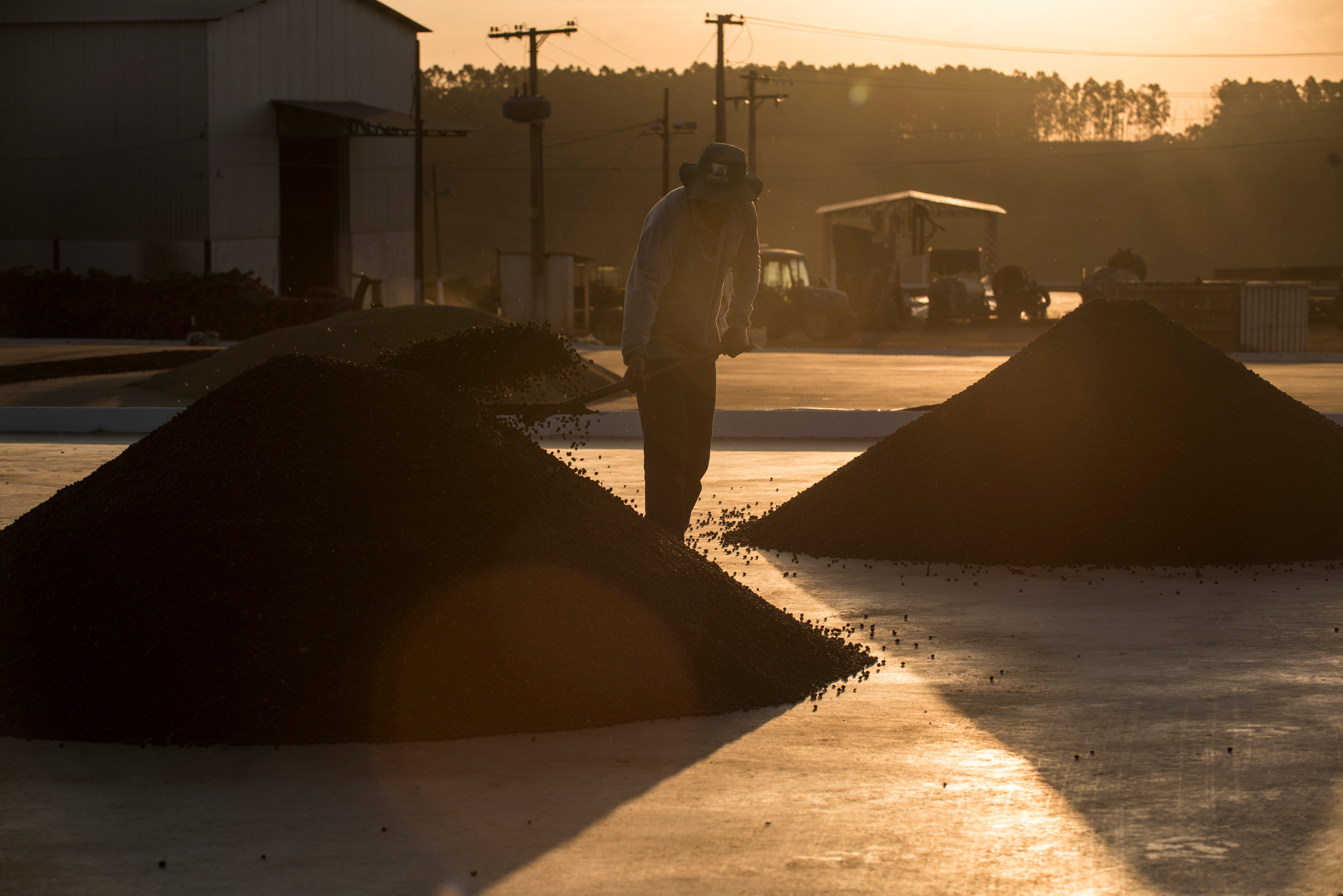BRAZILIA CIELO DEL CERRADO 250G