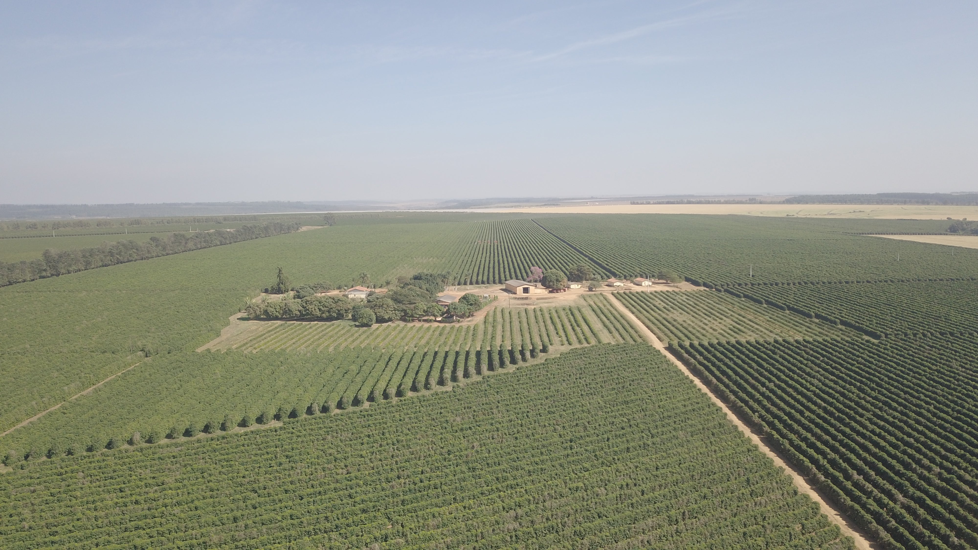 BRAZILIA SERRA DA CANASTRA 250G