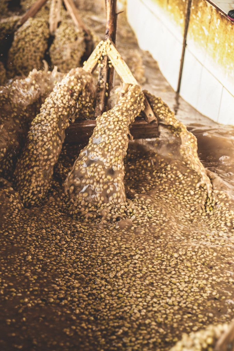 ETIOPIA CHELBESA WASHED 250G