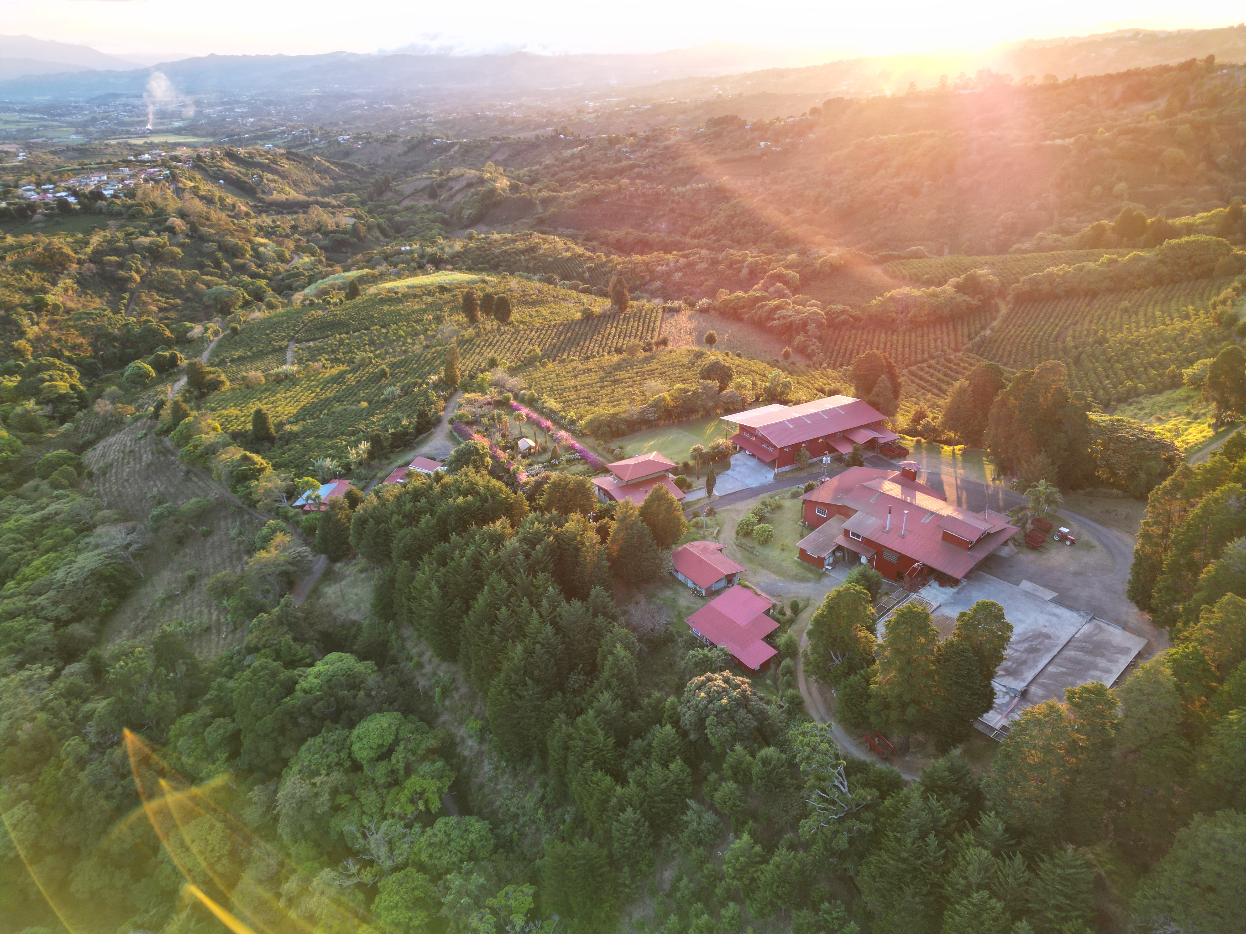 CHRISTMAS BLEND 250G