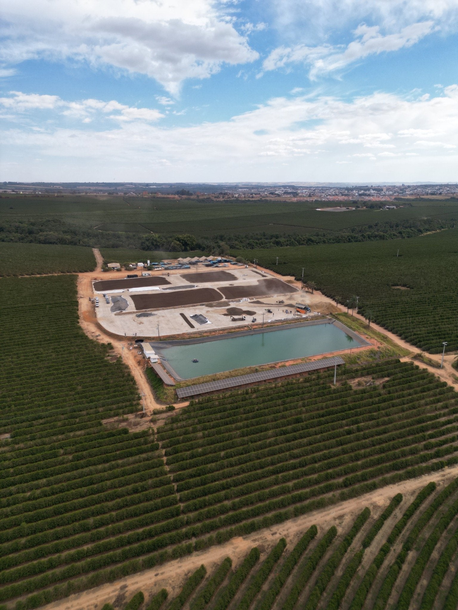 BRASIL ARARA DA CANASTRA 1KG