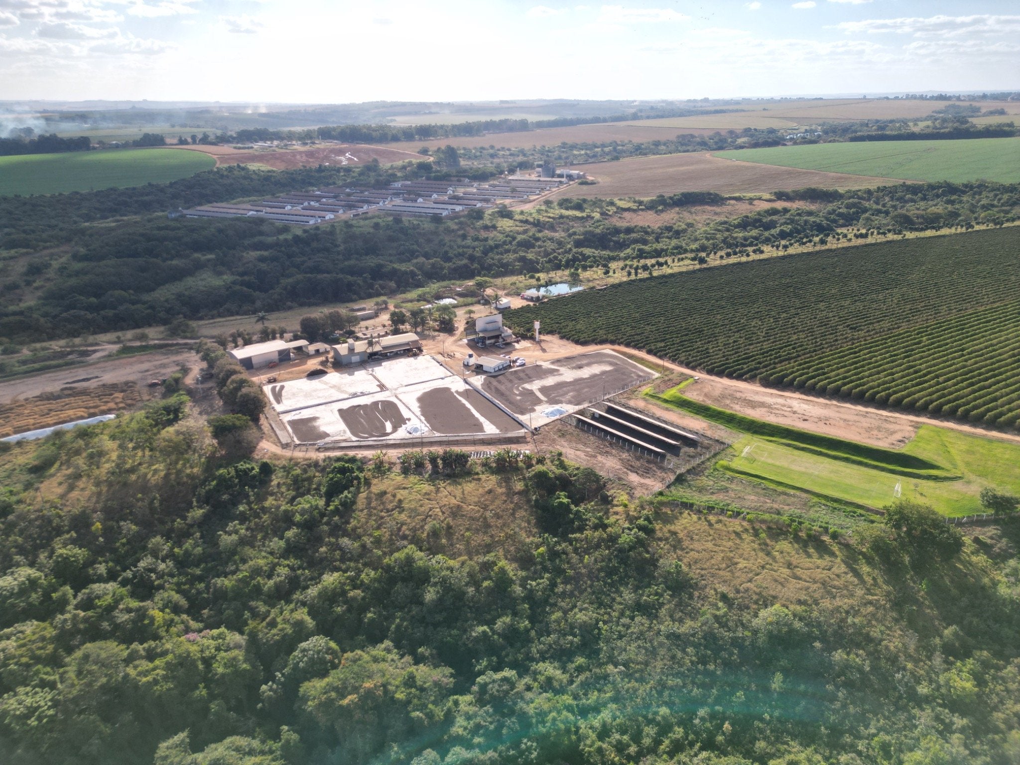 BRASIL ARARA DA CANASTRA 1KG