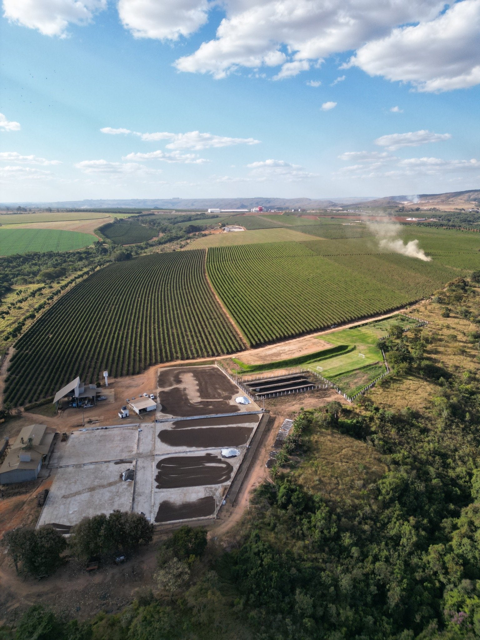 BRASIL ARARA DA CANASTRA 1KG