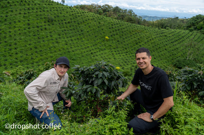 COLUMBIA EL VERGEL ESTATE 250G