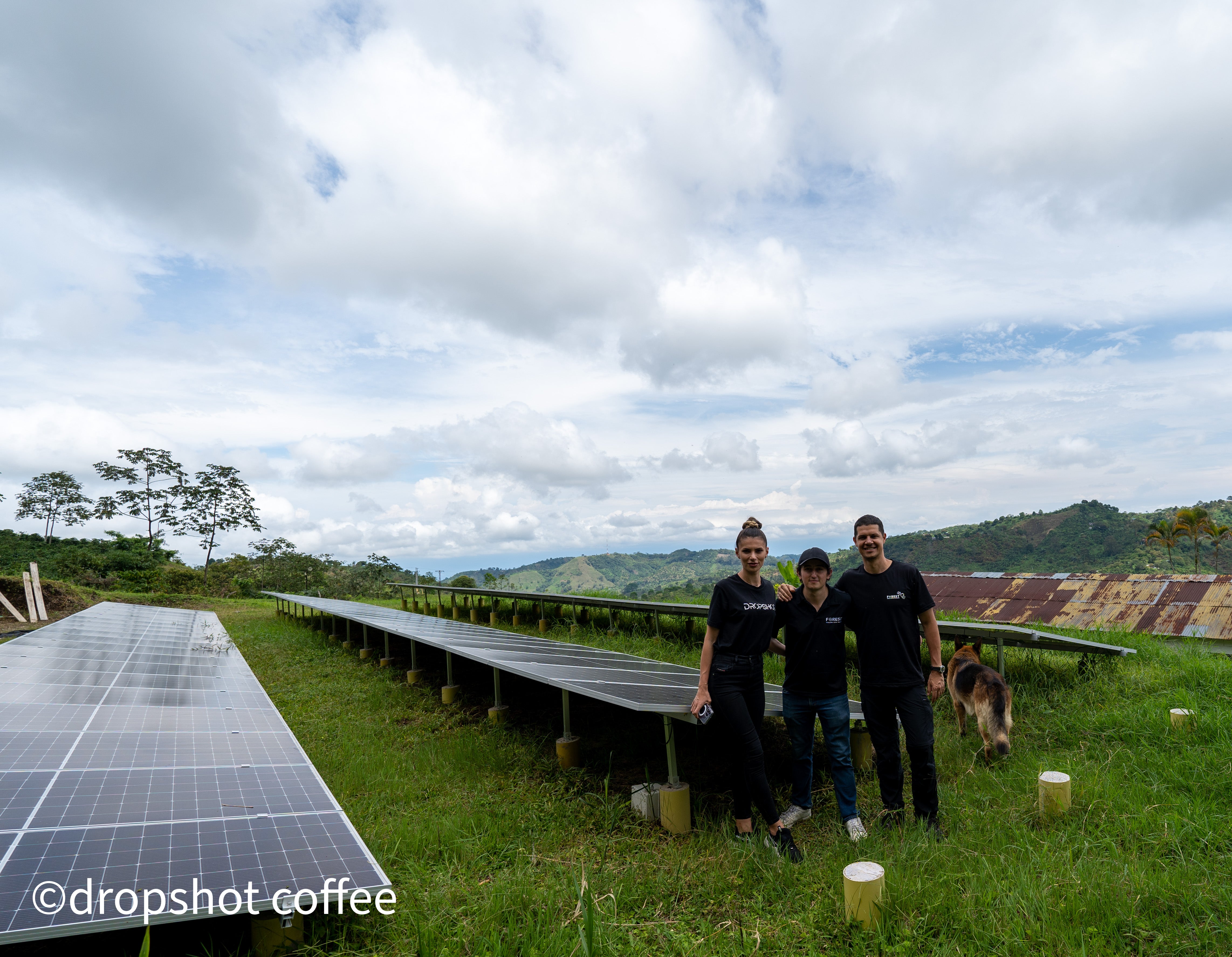 COLUMBIA EL VERGEL ESTATE 250G