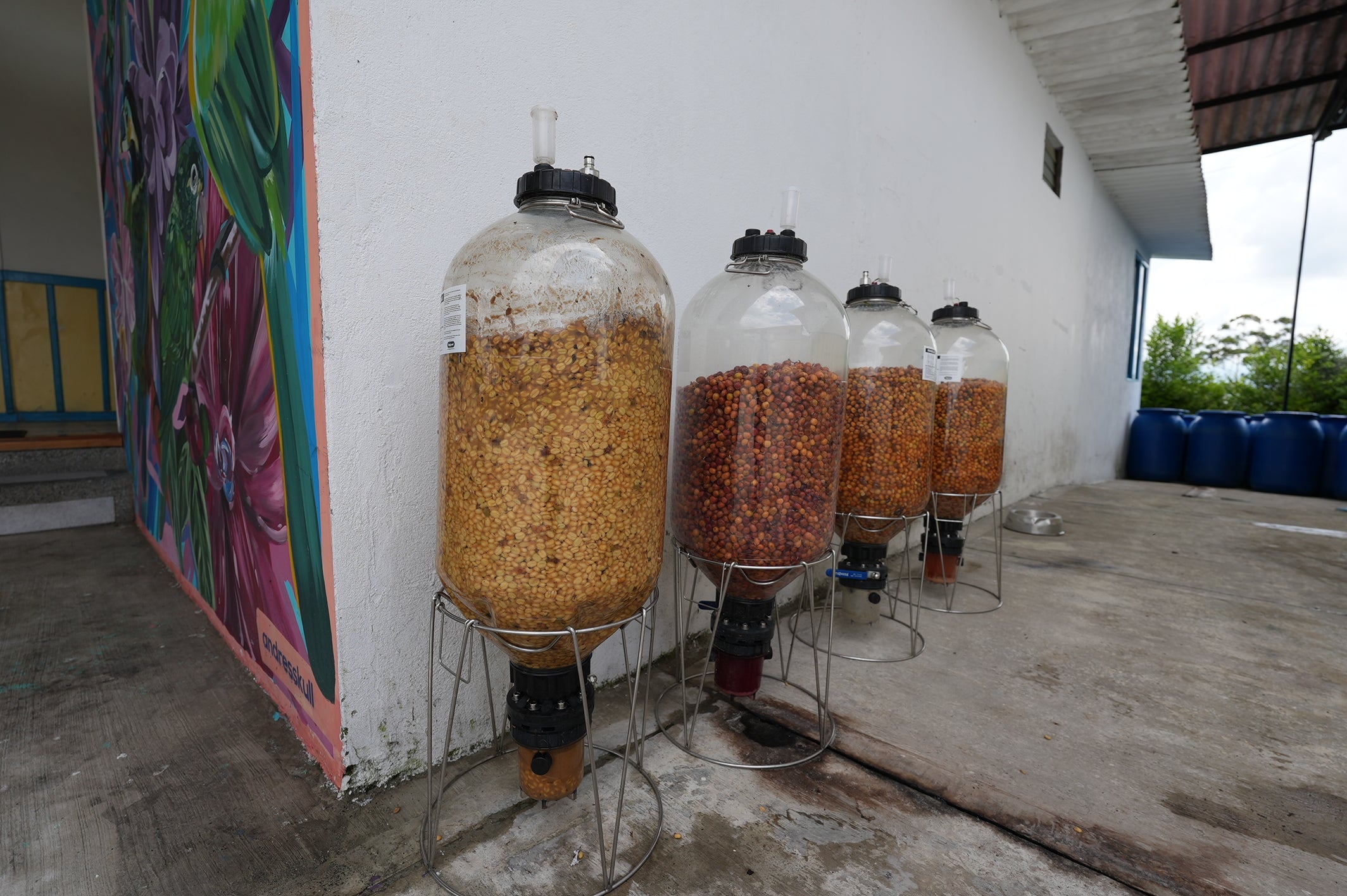 COLUMBIA SUDAN RUME EDWIN NORENA 1KG