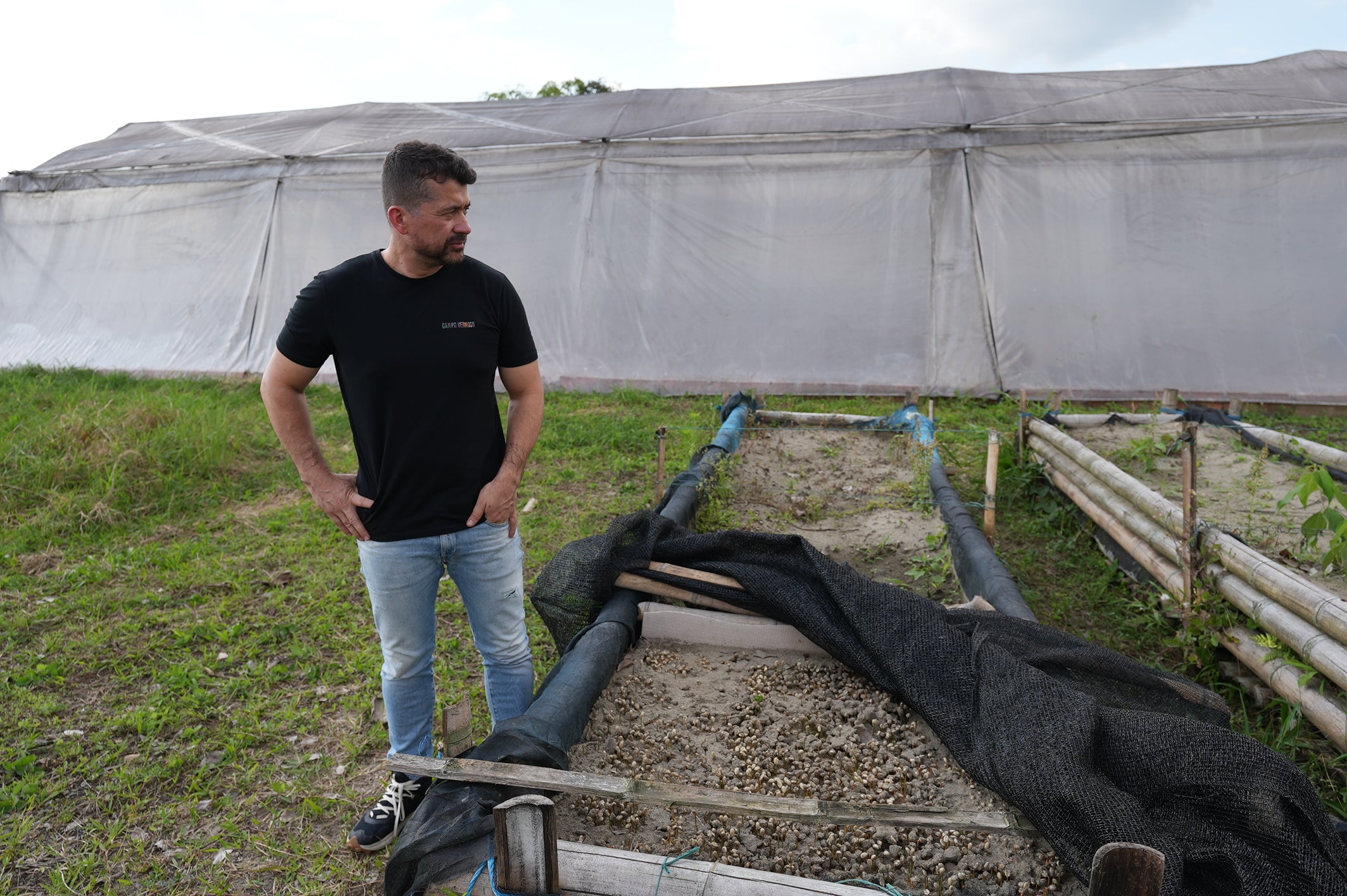 COLUMBIA SUDAN RUME EDWIN NORENA 1KG