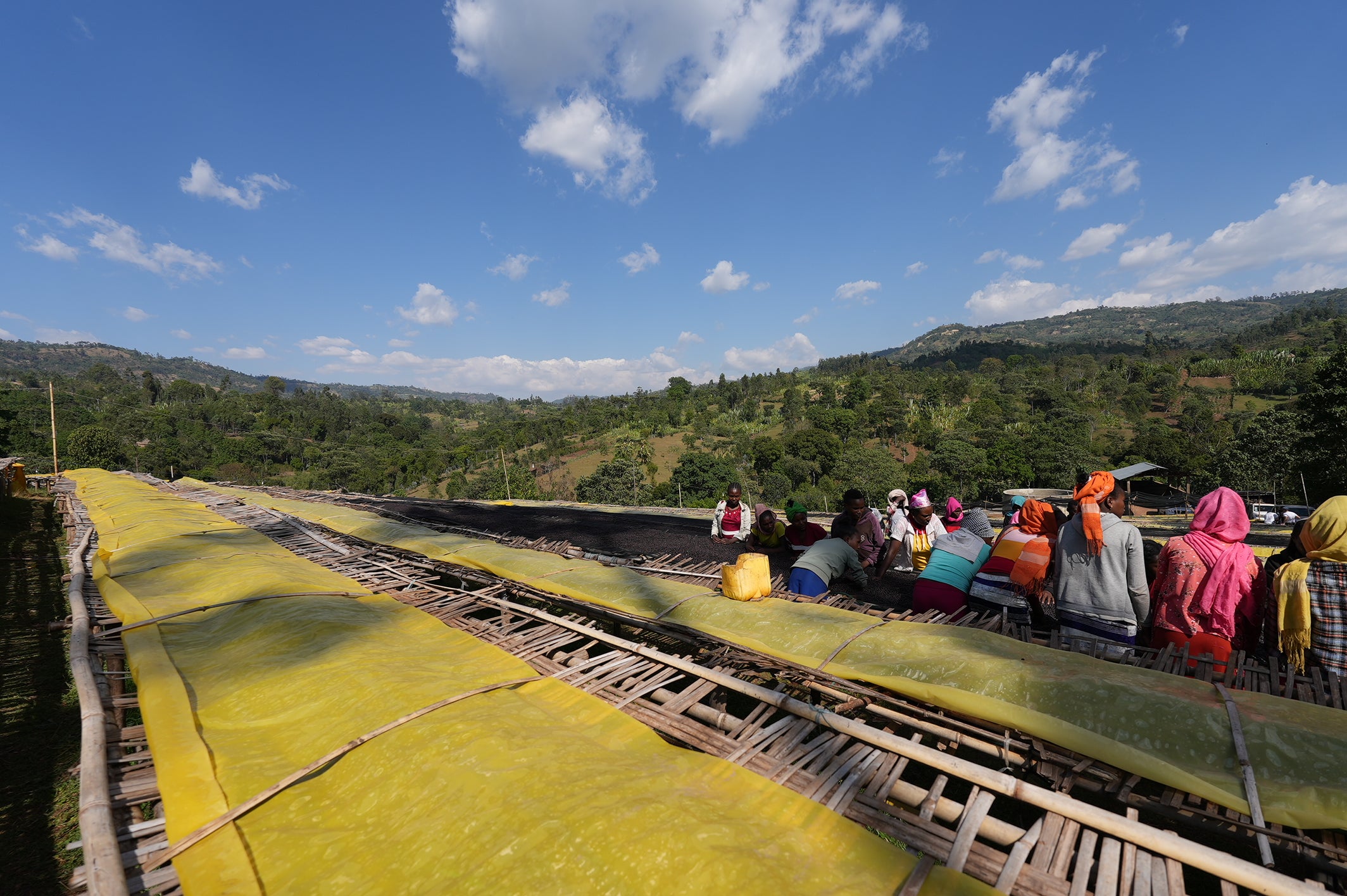 ETIOPIA KERAMO DAYE BENSA 250G