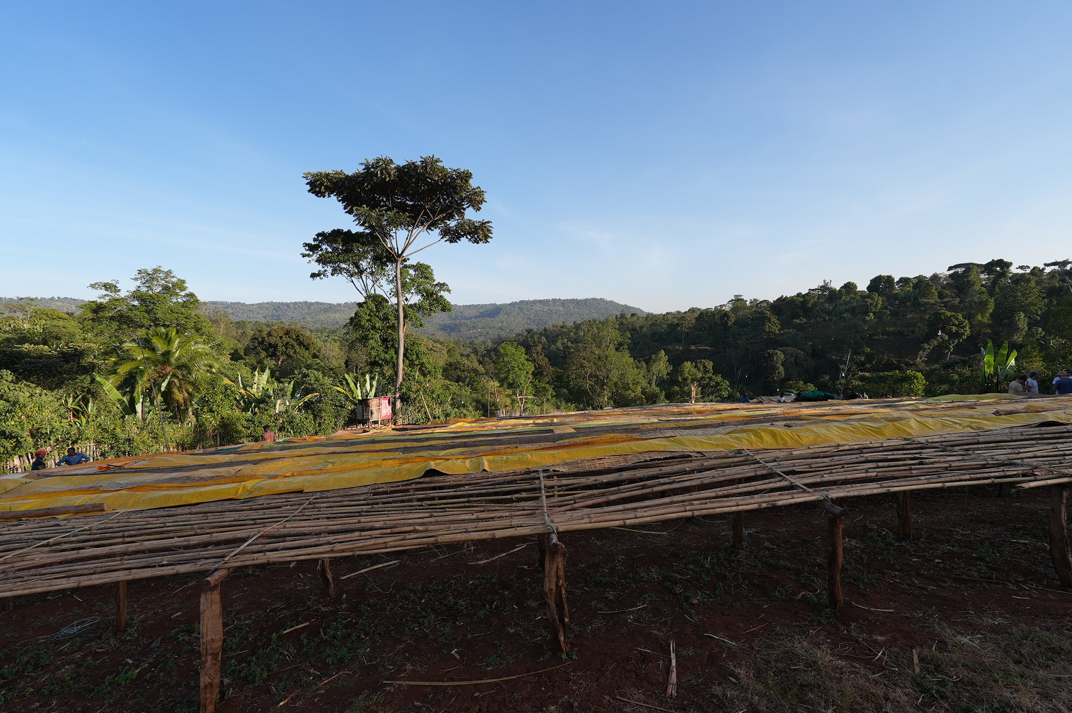 ETIOPIA KERAMO DAYE BENSA 250G