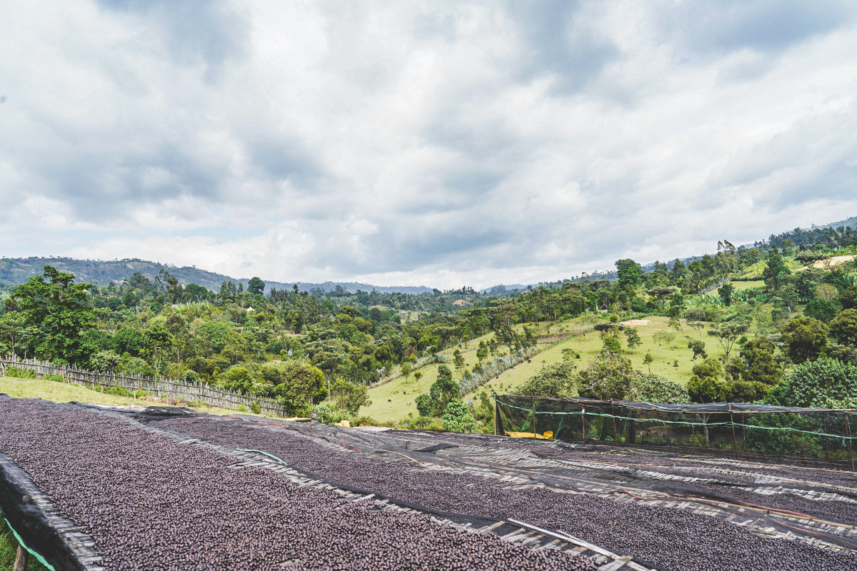 ETIOPIA NATURAL RUMUDAMO 250G