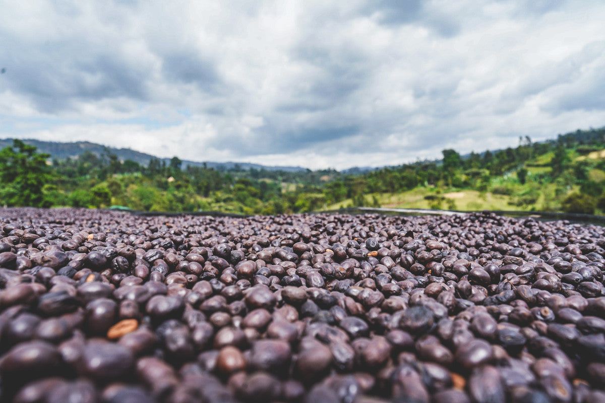 ETIOPIA NATURAL RUMUDAMO 250G