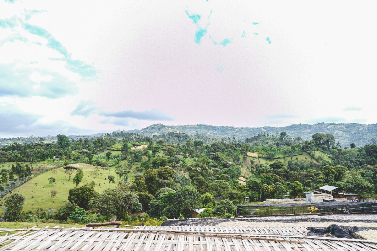 ETIOPIA RUMUDAMO WASHED 1KG