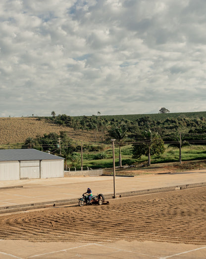 BRAZILIA FAZENDA SAO DOMINGO 1KG