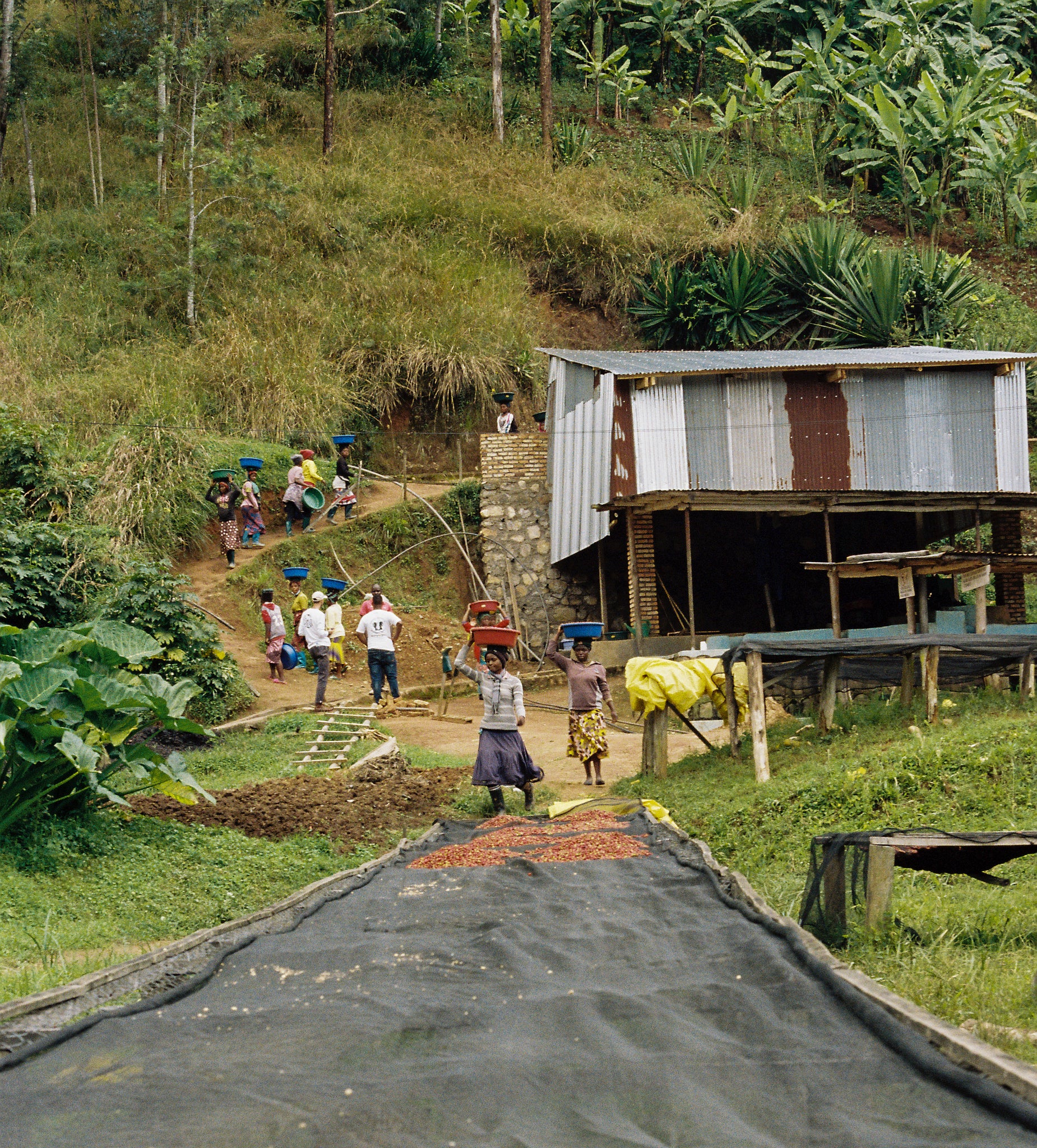 RWANDA KARAMBI MOUNTAIN 250G