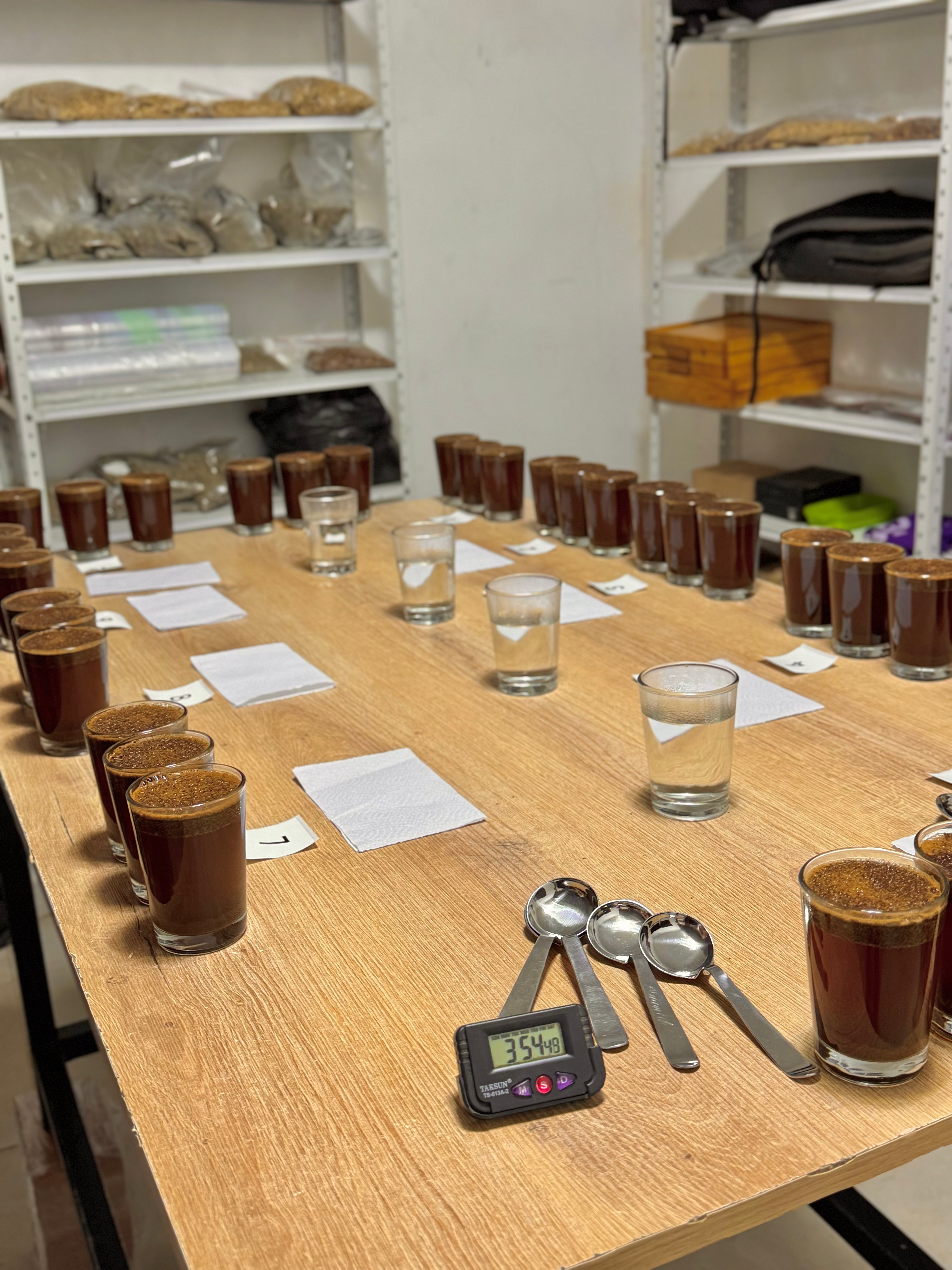 COLUMBIA MOJITO MIRAGE 1KG