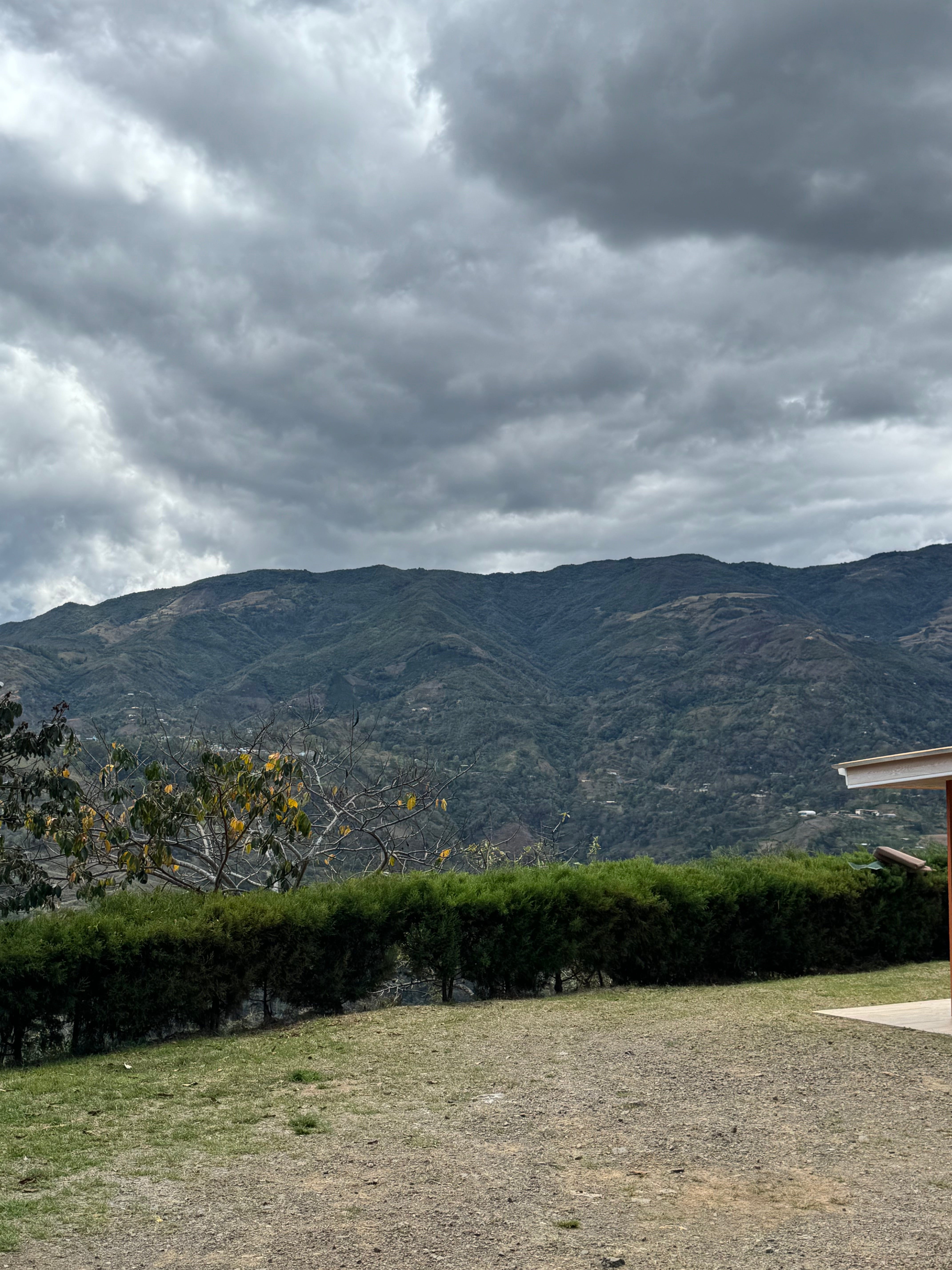 COLUMBIA PINK VOLCANO 1KG