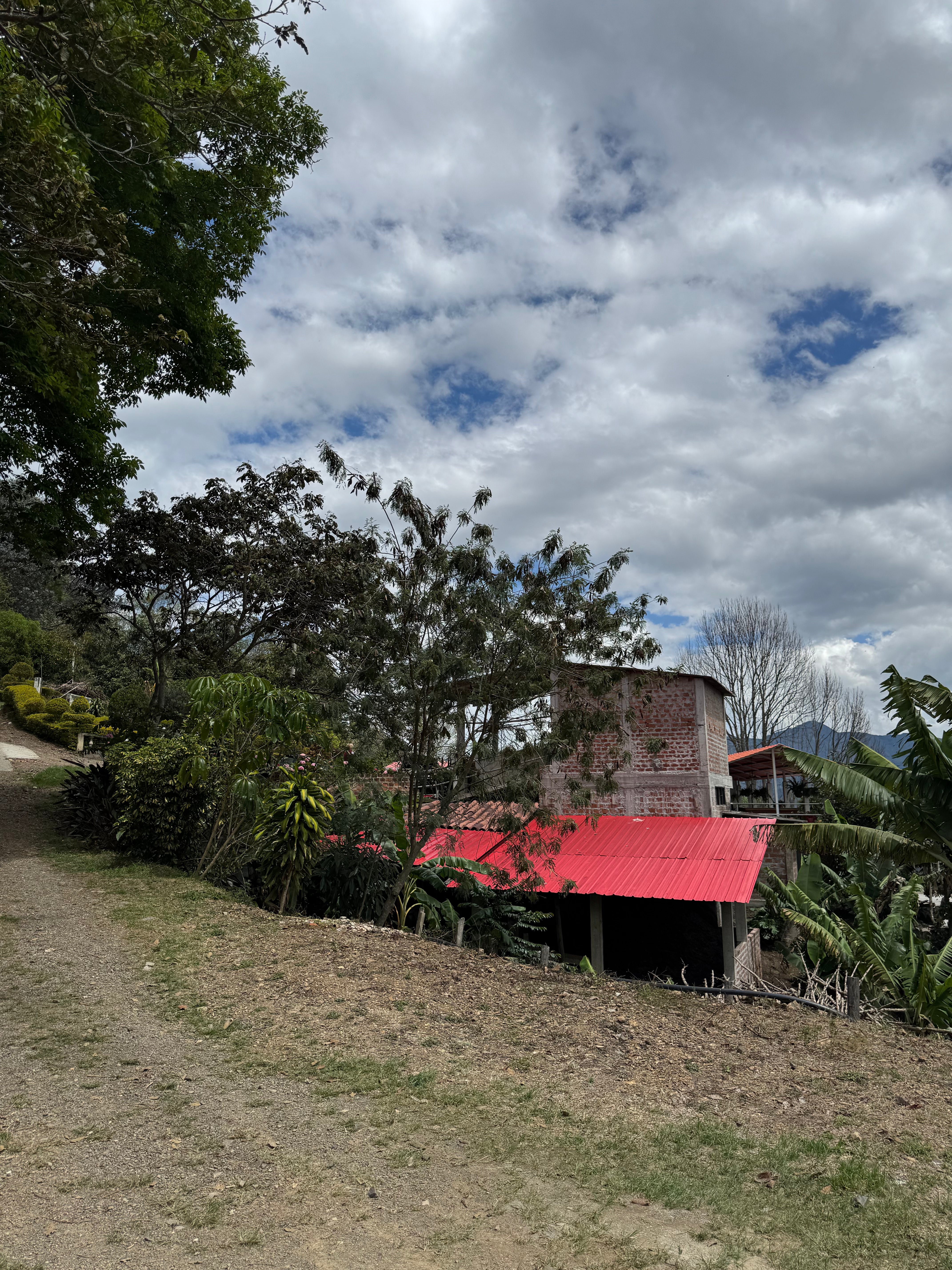 COLUMBIA PINK VOLCANO 1KG