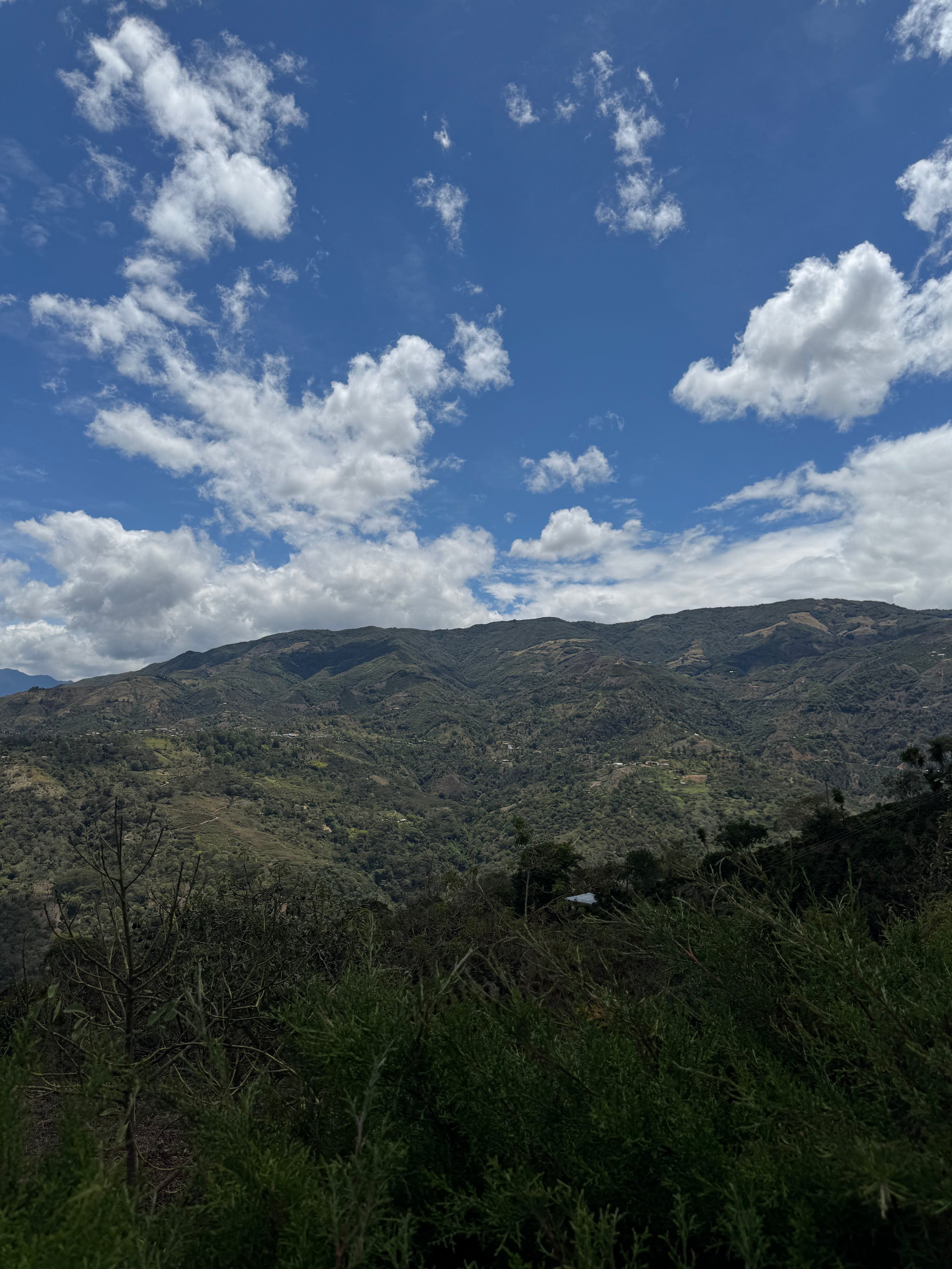 COLUMBIA PINK VOLCANO 250G