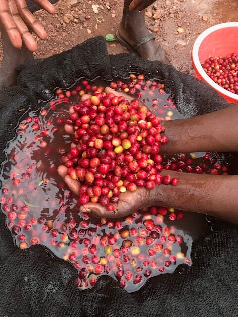 RWANDA KININI WOMEN 250G