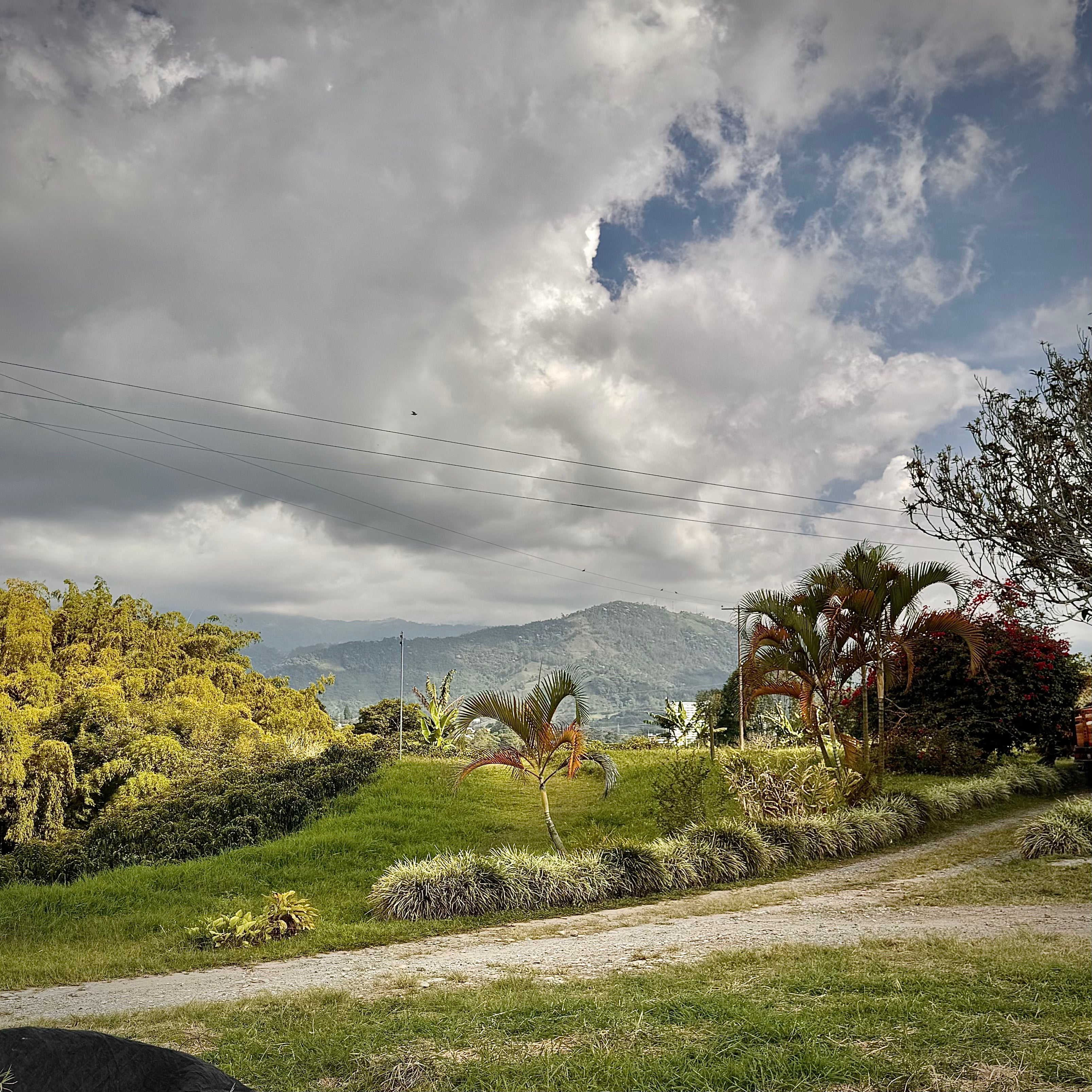 COLOMBIA TOFFEE BANANA 1KG