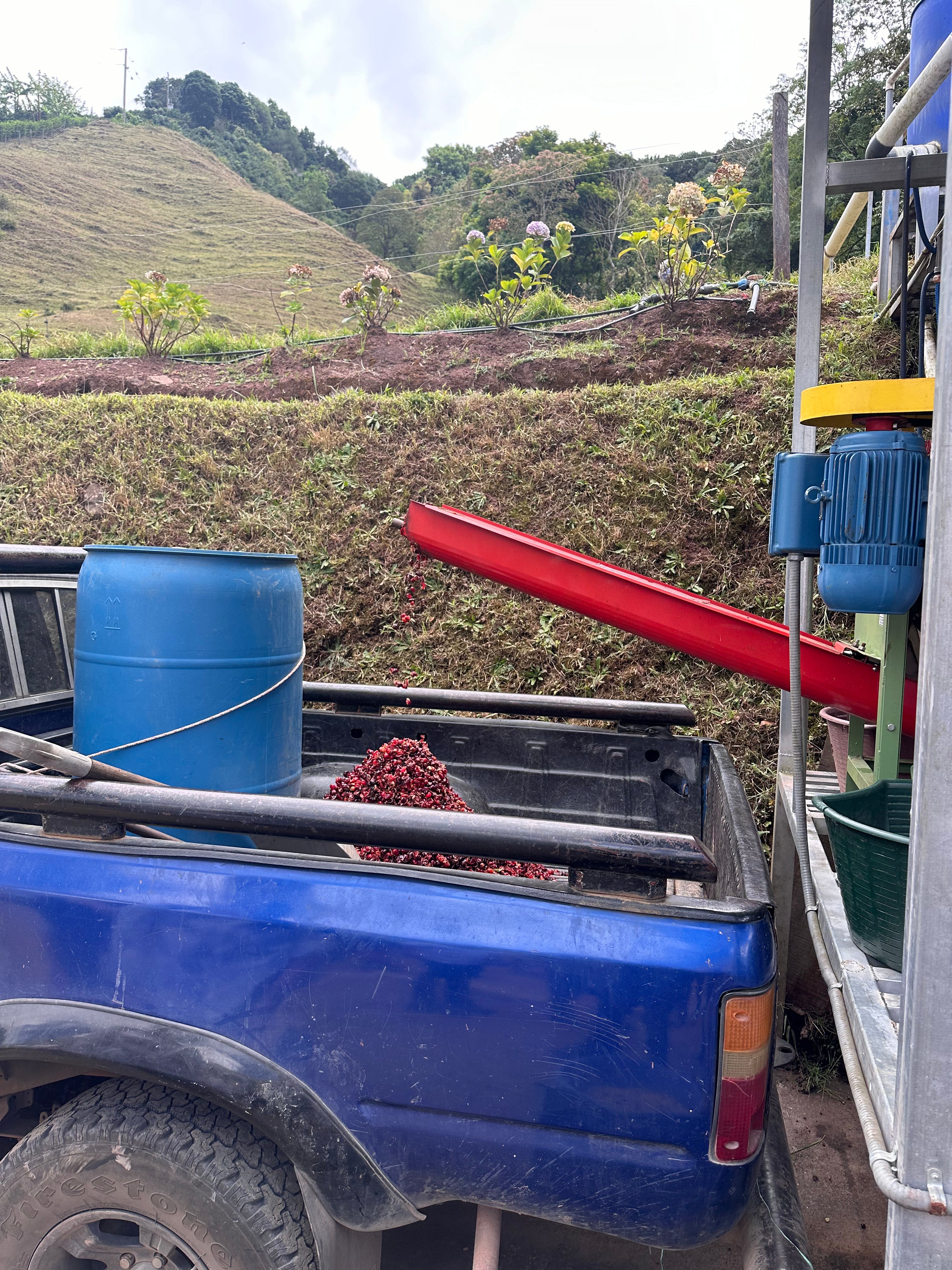 COSTA RICA SAN ISIDRO 1KG