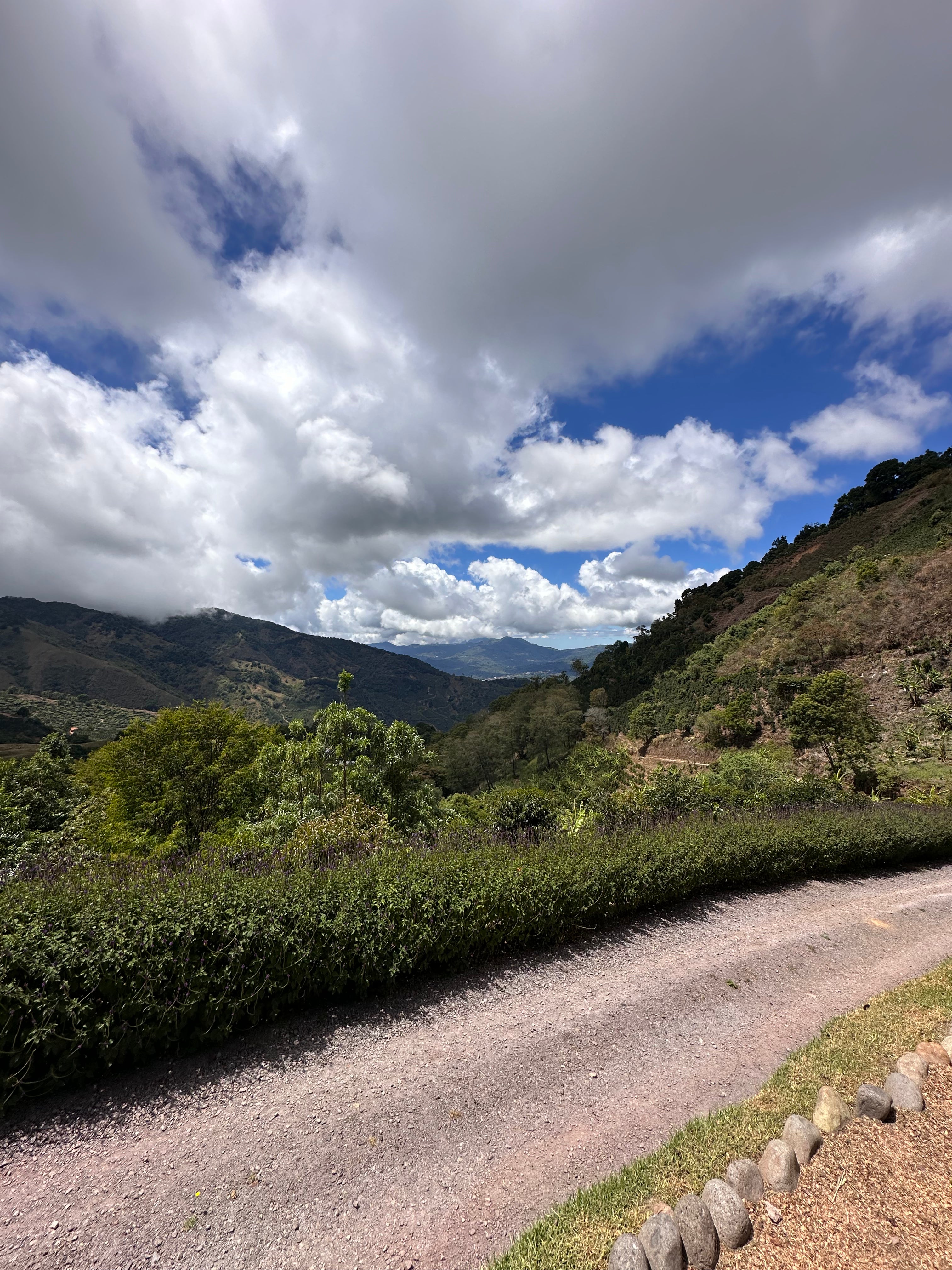 COSTA RICA SAN ISIDRO 1KG